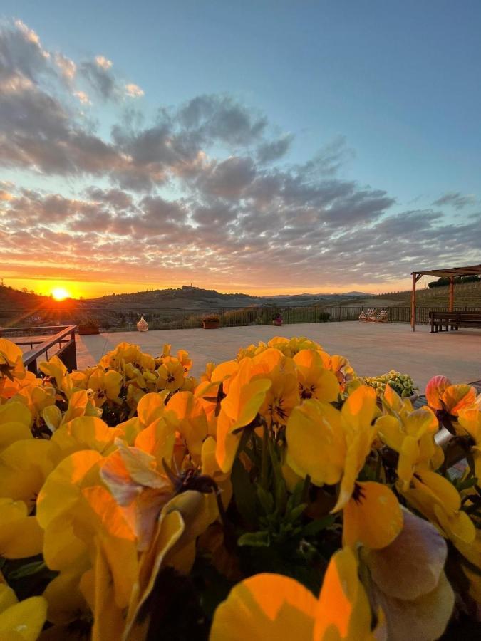Agriturismo Ca Del Nono San Marzano Oliveto Екстериор снимка